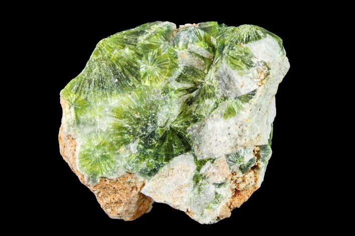 Radiating, Green Wavellite Crystal Aggregation - Arkansas #163078